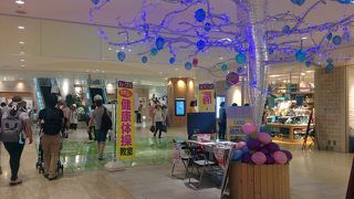 小田原駅直結のハルネ