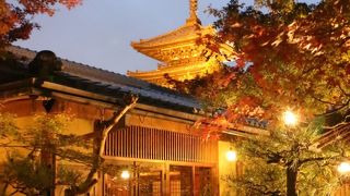 最高すぎるレストラン