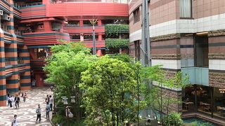 建物の中の水と緑が癒される