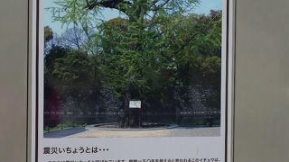 工事中で見ることができませんでした