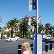 パリスホテル前のバス停