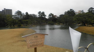 池泉式庭園の美しい池