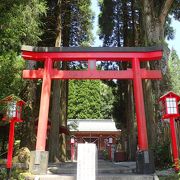 隣接の遊歩道もお勧め