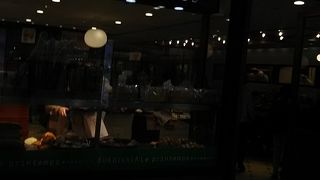 おいしいパンがたくさんあります、早朝の食事にいいです