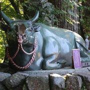 岡山県の田倉牛神社から贈られた宝牛が鎮座しています。