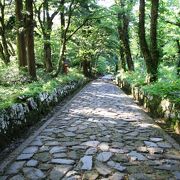 自然石の苔むした石畳なのでゴツゴツしていますが独特の雰囲気があります。