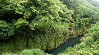 せめて遊歩道がもう少し長いと良かったかな