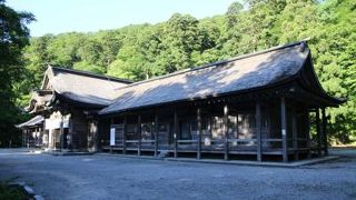 自然石の長い石畳の参道を歩き、急峻な石段を上り切ると壮大な権現造りの社殿が現れます。