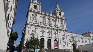 満開のブーゲンビリア