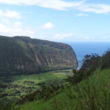 王家の谷を一望