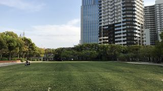 芝生のある広場