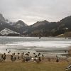 スイス・冬の湖ならアイススケート【スイス情報.com】