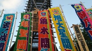 大相撲5月場所「栃ノ心と白鵬」の一番