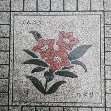熊本県の花「りんどう」