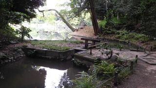 小さな岩の集まり