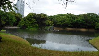 庭園のシンボル的存在の池