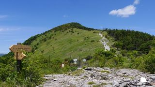 尾根上から諏訪湖方面の絶景