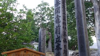 数多くの回向柱が並んでいます