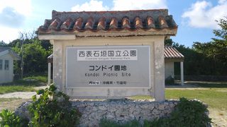 ねこちゃんと戯れながら