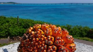 晴れてればこちらも寄ってみましょう