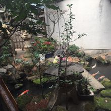 中庭の池には鯉が泳いでました