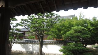 植栽が印象に残りました