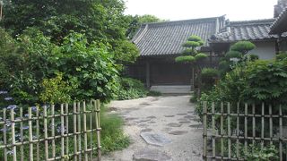 ちょうど紫陽花の花が咲いていて良い雰囲気でした