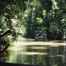 ジャングルをアーミーダックで進みます。