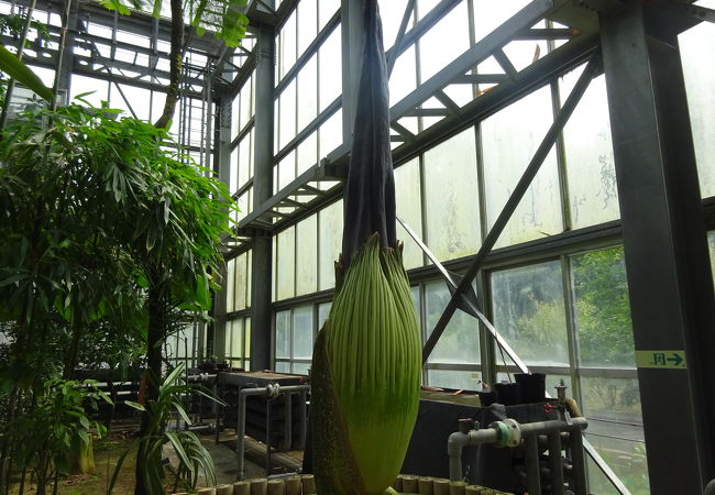 筑波実験植物園 クチコミ アクセス 営業時間 つくば フォートラベル