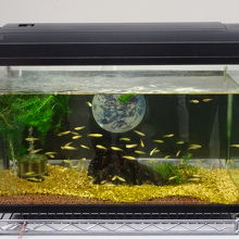 見学ツアーにて