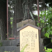 浅草寺の本堂裏手にひっそり建っています。