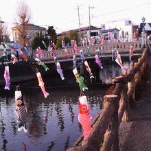 春先は鯉のぼりが泳いでることもあります