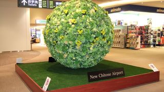 季節で変わる展示物もあります