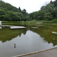 博物館北の庭園、ハスの見頃は過ぎた。