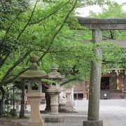 緑豊かで静かな雰囲気の神社