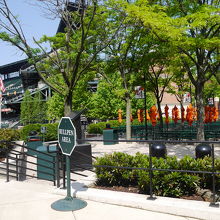 フィールドを覗ける所にベンチが置かれています