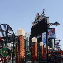 センターボードの横からもフィールドが見えます