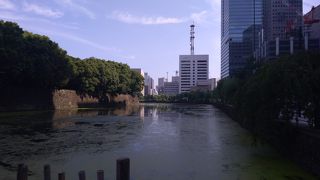 よく手入れされた植物と、濠、背後に大手町の高層ビルという、皇居らしい素晴らしい景色が最高