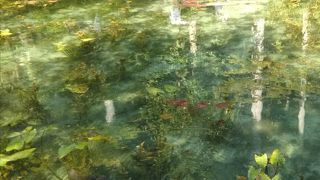 モネの池は写真で撮るとモネの絵に！