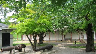 唯一現存するも、目立たない