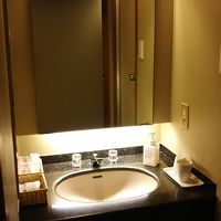 洗面台。アメニティはビジネスホテルのよう