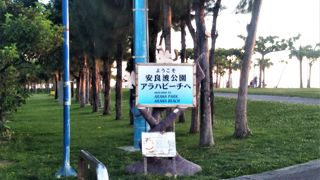 夕陽がきれいです