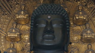 外から大仏さまのお顔を拝む