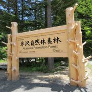 日本の森林浴発祥の地です
