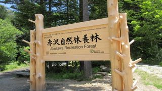 日本の森林浴発祥の地です
