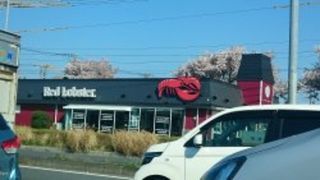 246大和のレッドロブスター