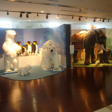 展示内容の様子