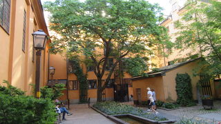 小さな人気者に会いに行ってきました。