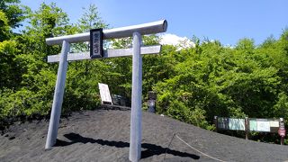 御殿場口登山道 ５合目