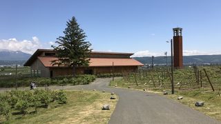 限定商品もある